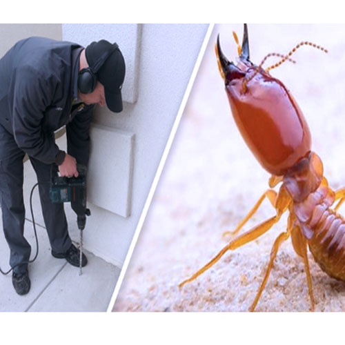 Termite Control Manufacturers in 